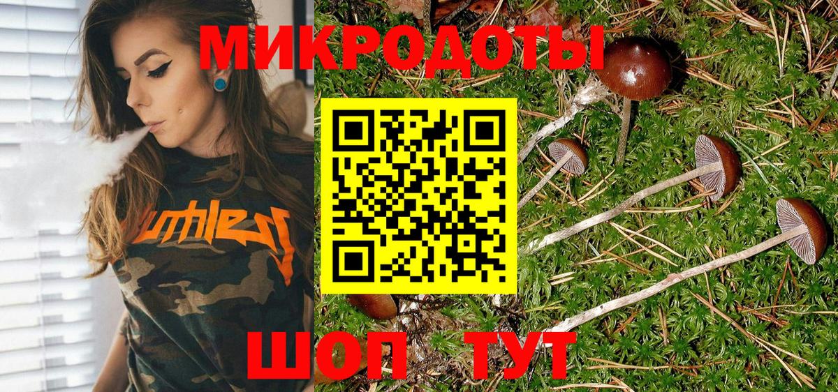 Псилоцибиновые грибы Magic Shrooms  цена наркотик  Галлюциногенные грибы мухоморы  Гатчина  Вход с VPN 