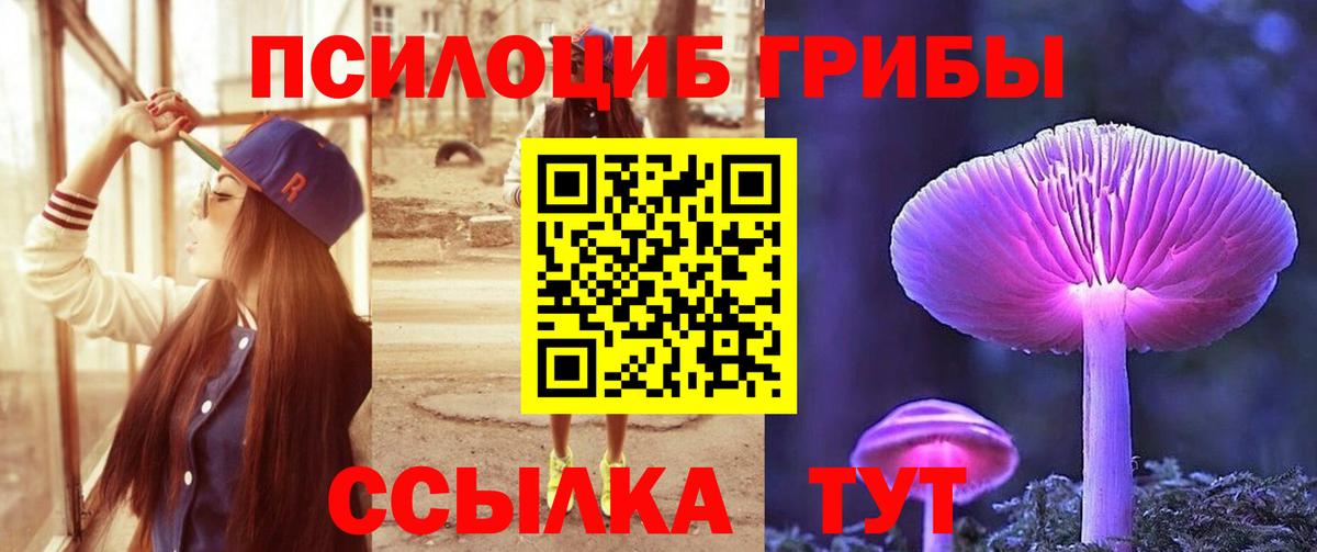 Псилоцибиновые грибы ЛСД Гатчина