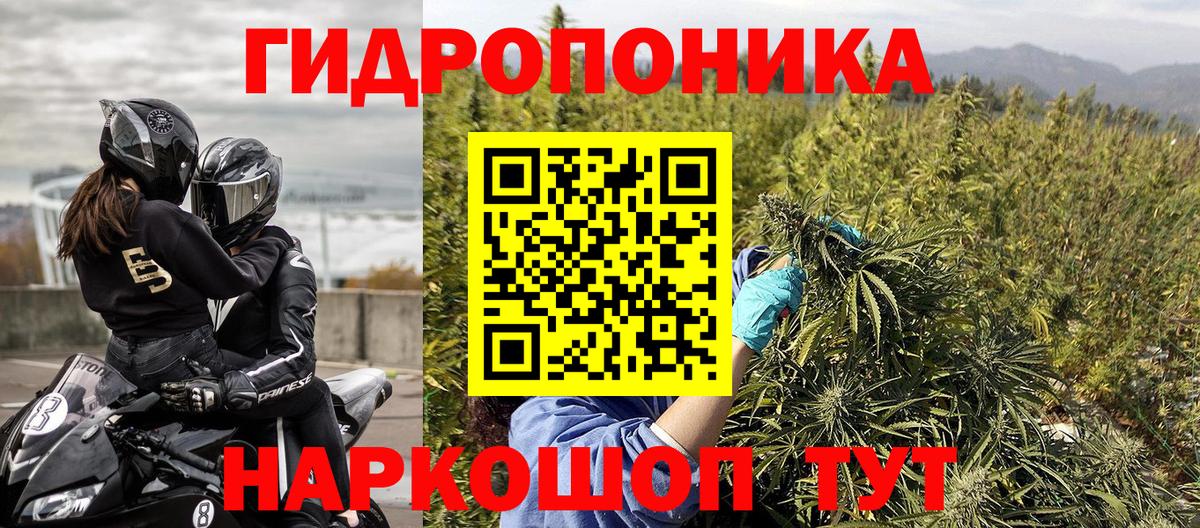 Марихуана конопля  МАРИХУАНА THC 21%  Вход с VPN  Гатчина 